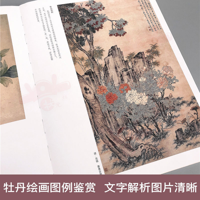 [正版图书]中国历代绘画百图 牡丹 苏百钧主编古代名家名作牡丹绘画作品集国画临摹欣赏明代清代牡丹图画册工笔国画书籍河南美