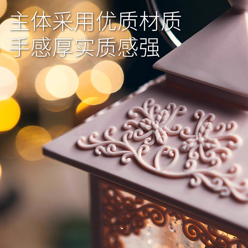 【风灯粉】-芭蕾舞者-不可旋转高清大图