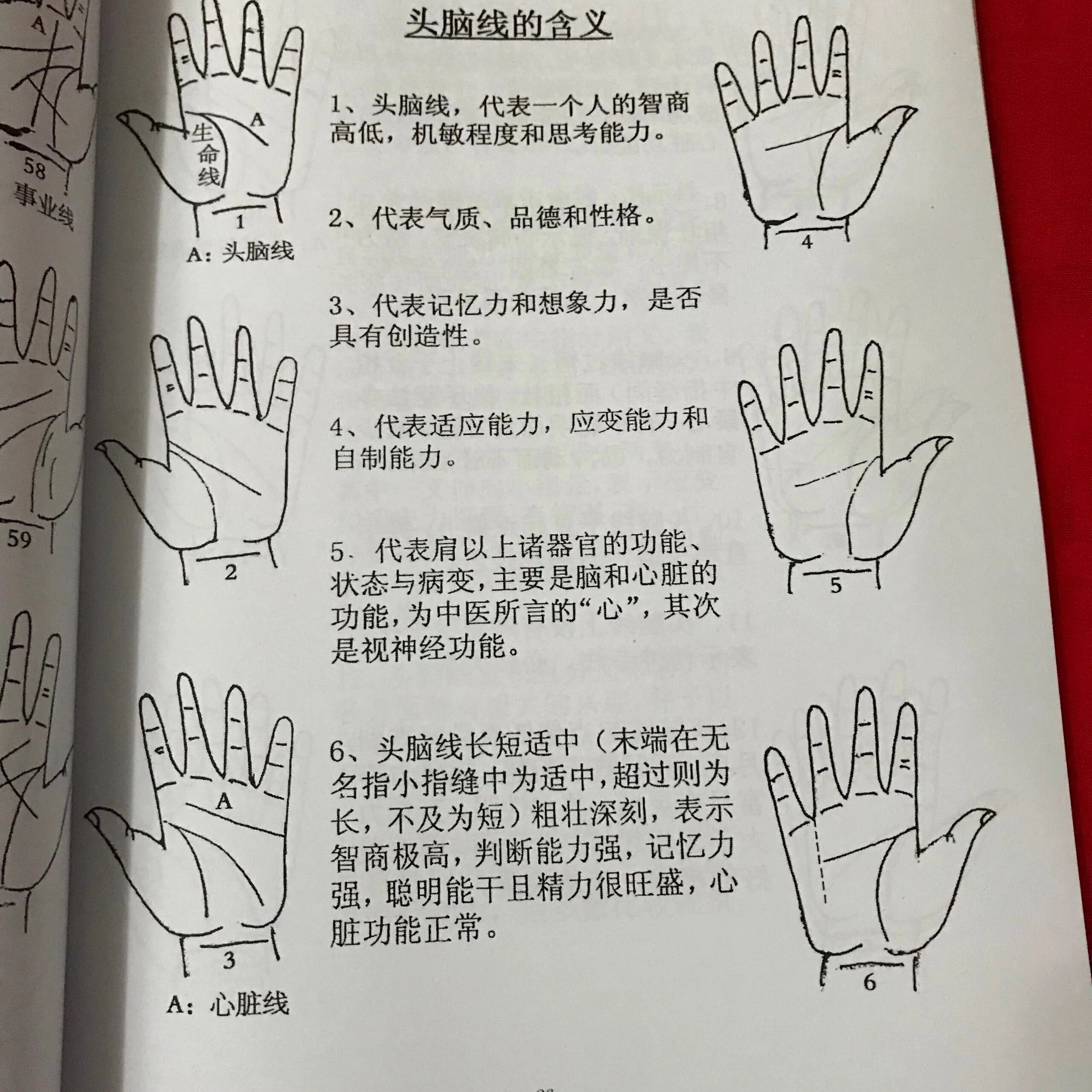 中医手诊学 高振宗高清大图