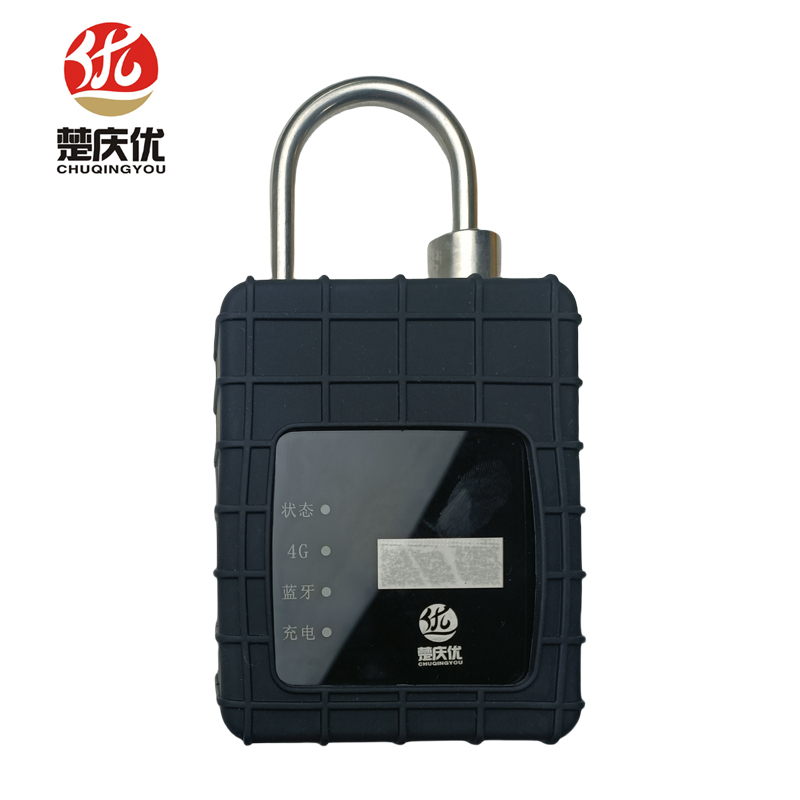 楚庆优 智能锁(带安装 ) CQY-4G01 把