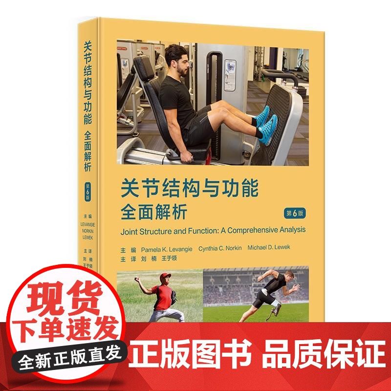 关节结构与功能:全面解析 2024年12月参考书