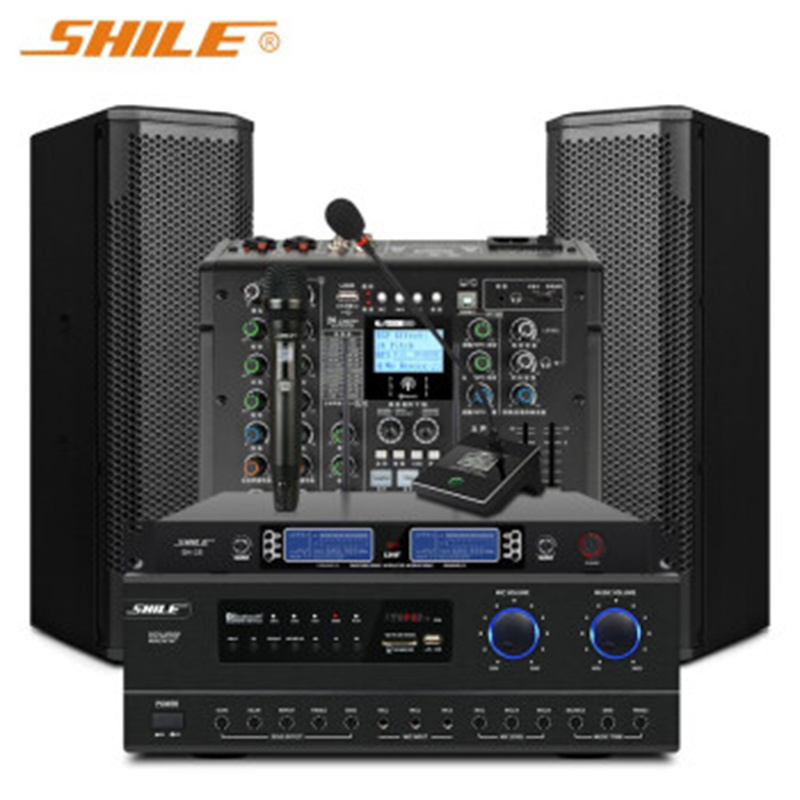 狮乐 (SHILE)AV108/BX402黑1拖2话筒/天琴十四号 专业中小型会议室视频音响系统调音台音柱功放音箱组合