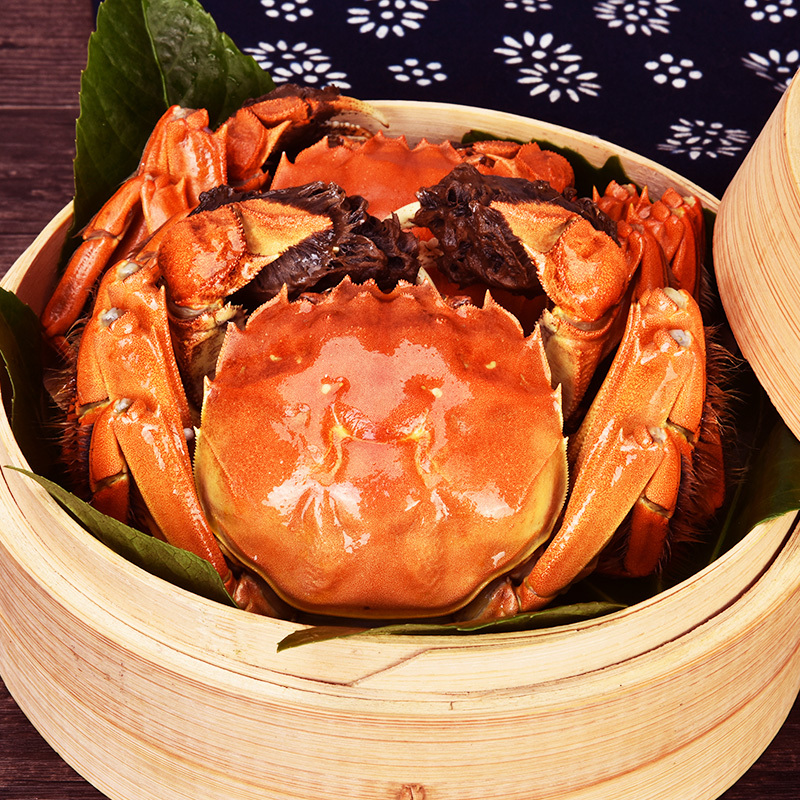 珍鲜汇 大闸蟹礼券5868型 公蟹5.0两/只 母蟹3.5两/只 4对8只装 海鲜水产