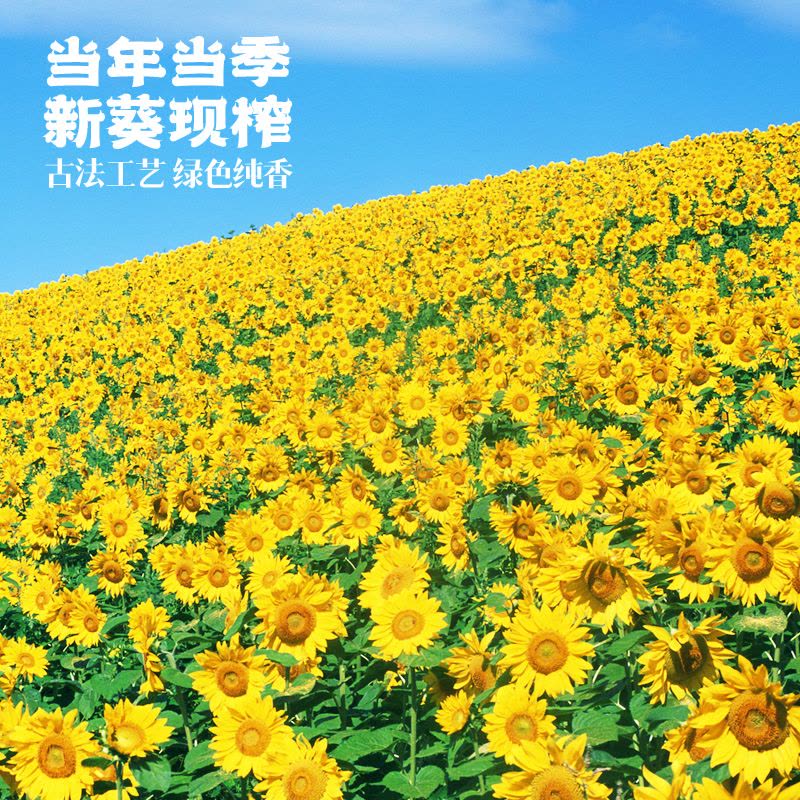 米妹妹葵花籽油-1.8L图片