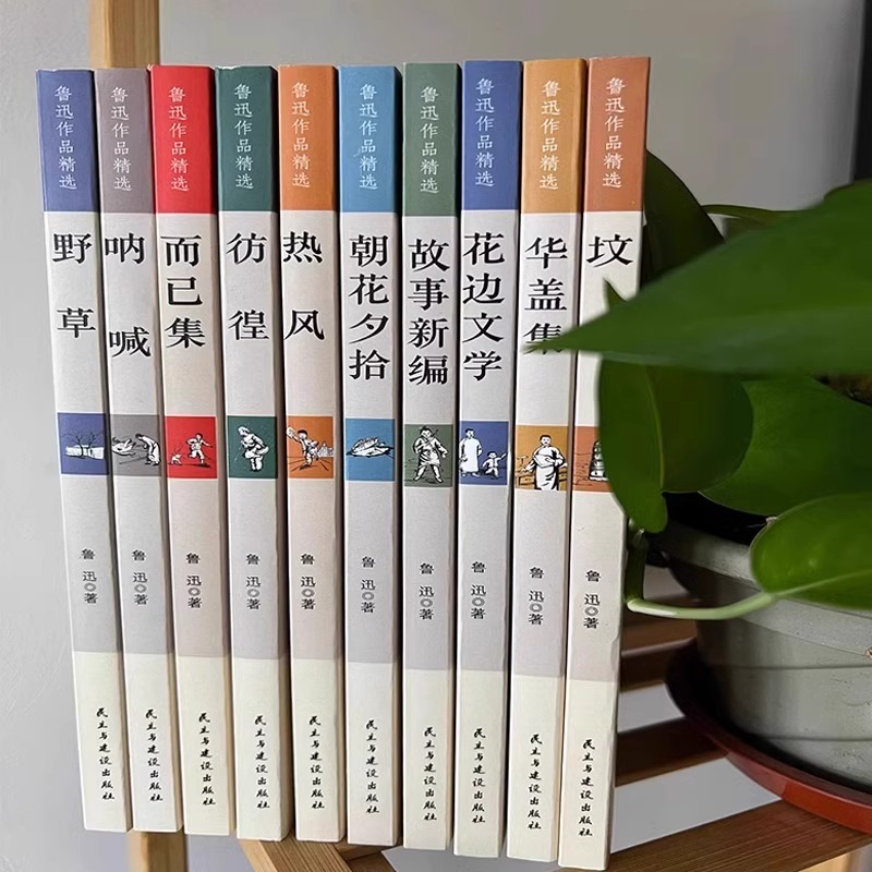 鲁迅作品精选(全十册) [正版]鲁迅作品精选全十册 朝花夕拾呐喊狂人日记华盖集坟花边文学野草 现当代文学散文随笔 经典全高清大图
