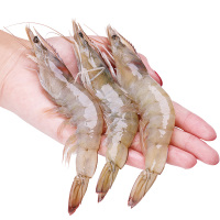 【免邮！第二件仅128】千渔旺 活冻厄瓜多尔白虾1.4kg/盒 (50-60只) 原装进口大虾鲜活冷冻虾海虾类 海鲜水产