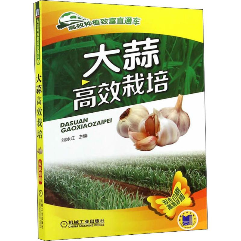 【M】大蒜高效栽培-9787111476856