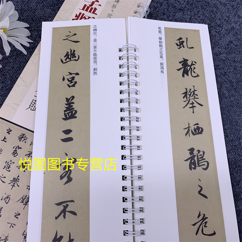 [正版]赵孟頫行书赤壁赋 经典碑帖近距离临帖练习字卡 弘蕴轩编 赵孟俯行书字帖 全文无删减 赵体毛笔书法碑帖 学生成人临高清大图