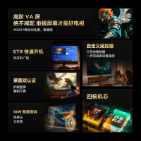 雷鸟雀4 25款32英寸4K四核机芯高清智能网络WiFi语音低蓝光认证液晶平板电视机快速开机32F195C
