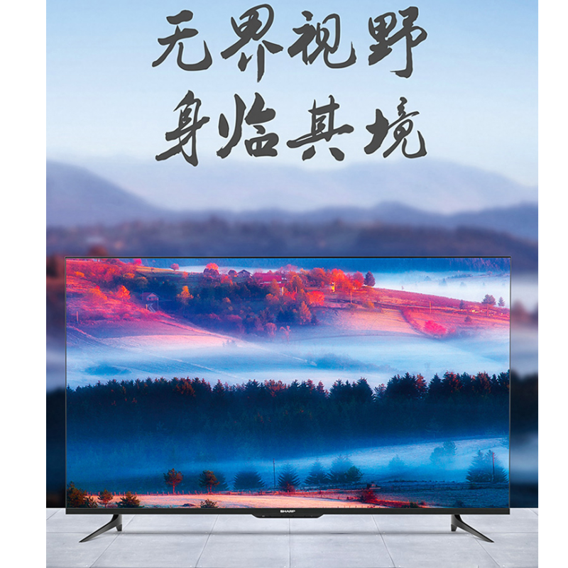 创维(Skyworth) 65G50 液晶平板电视 黑色