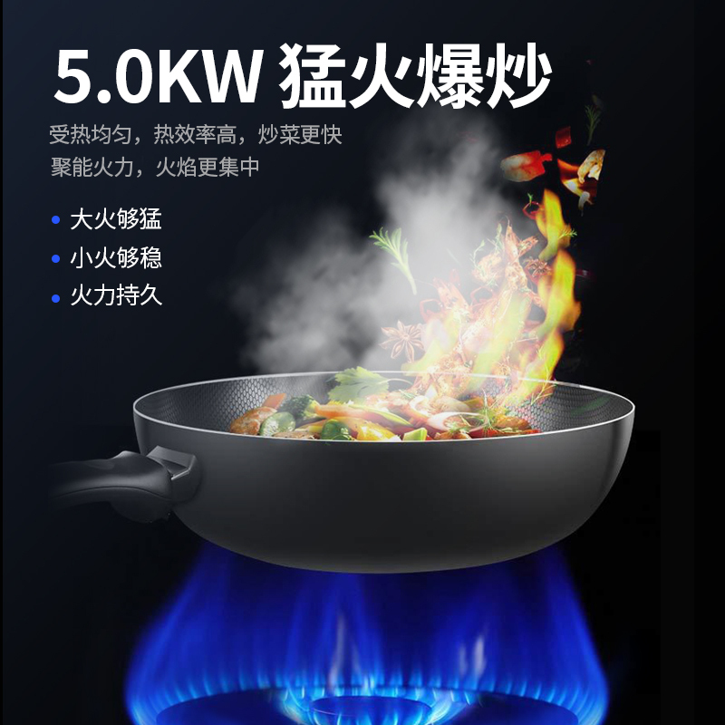 美国浦利顿(plodon)X5 厨房环保灶蒸烤一体 侧吸式抽油烟机燃气灶蒸箱烤箱套装 液化气 集成灶