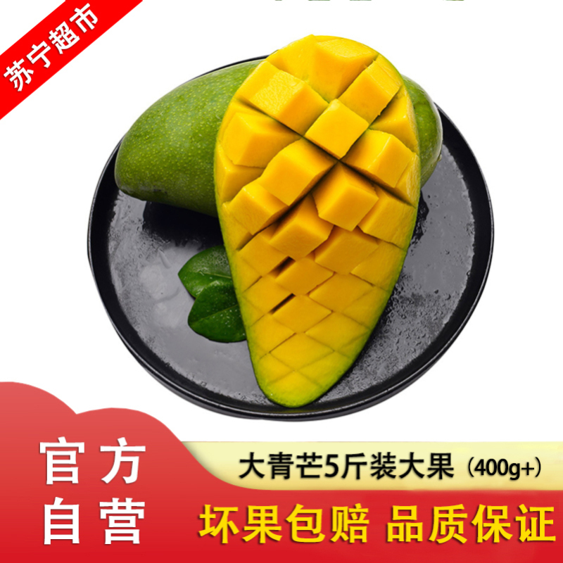 芒果大青芒当季时令新鲜水果青芒果 净重5斤 大果[400g+]