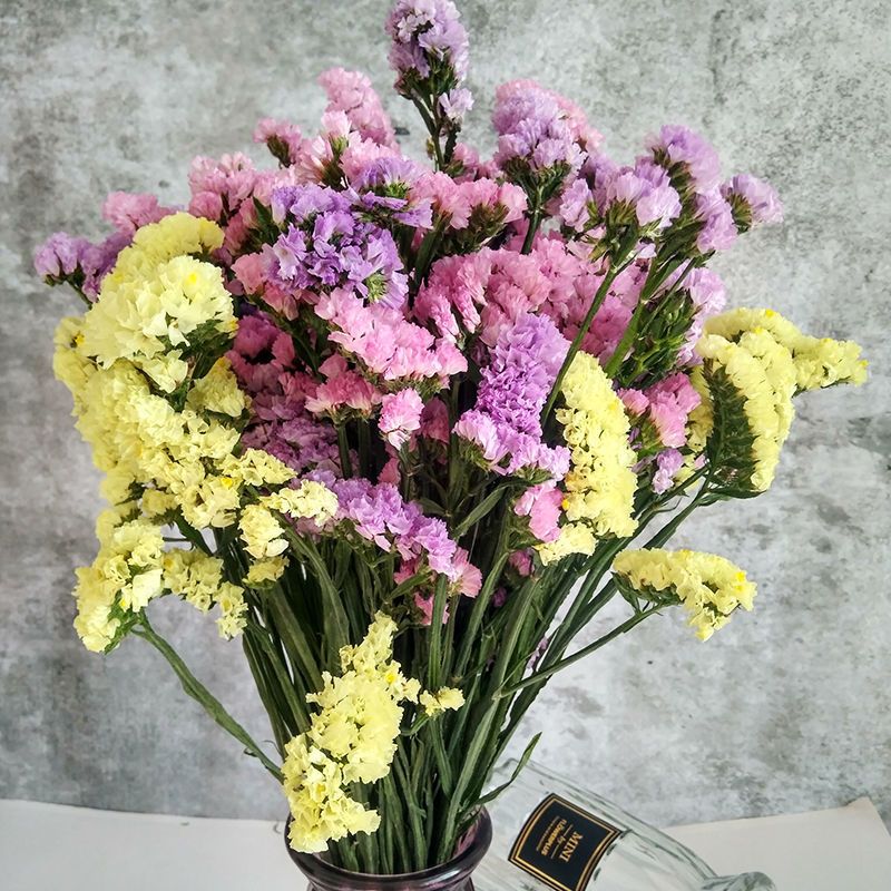 云南风干真花勿忘我干花花束 大干花装饰家居摆设客厅鲜花|22支浅紫粉色黄+草 带花瓶