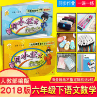 2018春使用 黄冈小状元六年级下册作业本语文 数学2本 人教版RJ 小学6六年级教辅同步练习册辅导 龙书局 可搭配达