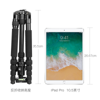 思锐(SIRUI)三 脚 架 E1005A+G12