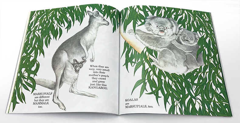 [正版]英文原版Explore Science Animals Born Alive and Well考拉熊 廖采杏书单高清大图