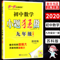 2020秋恩波教育初中数学小题狂做提优版 九年级全一册数学SK版苏科版 初三九9年级数学上册下册 江苏教版课时作业本学霸