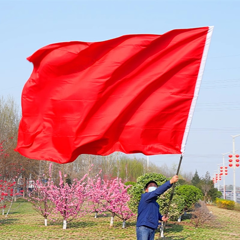 铁斯特 旗帜 导游旗 彩旗 128*192cm高清大图