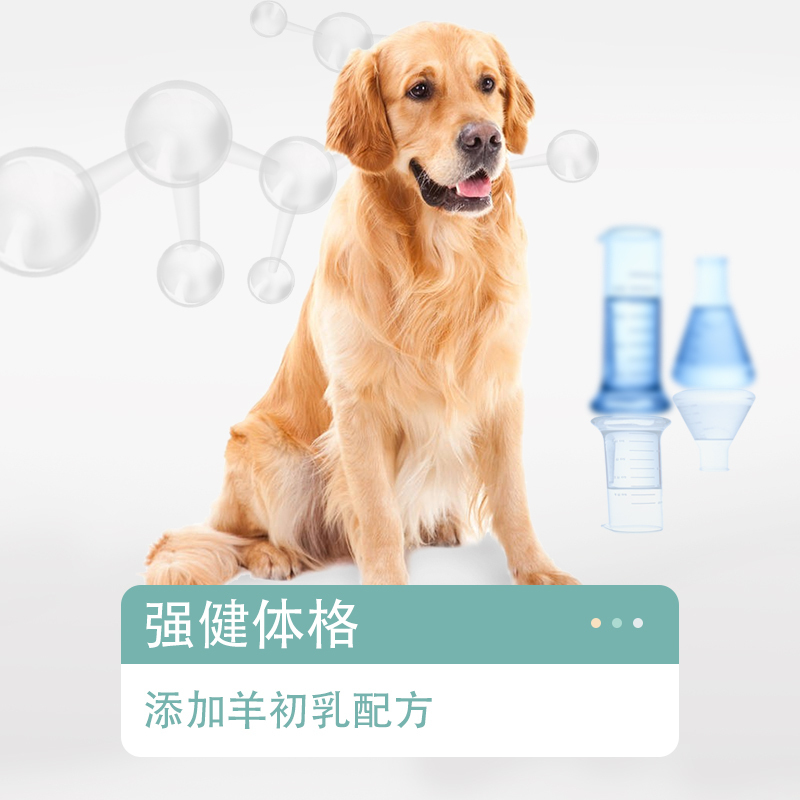 澳洲品牌 最宠(PaddyTime)全犬种成犬粮7.5kg鸡肉味 全犬种通用全营养配方狗主粮