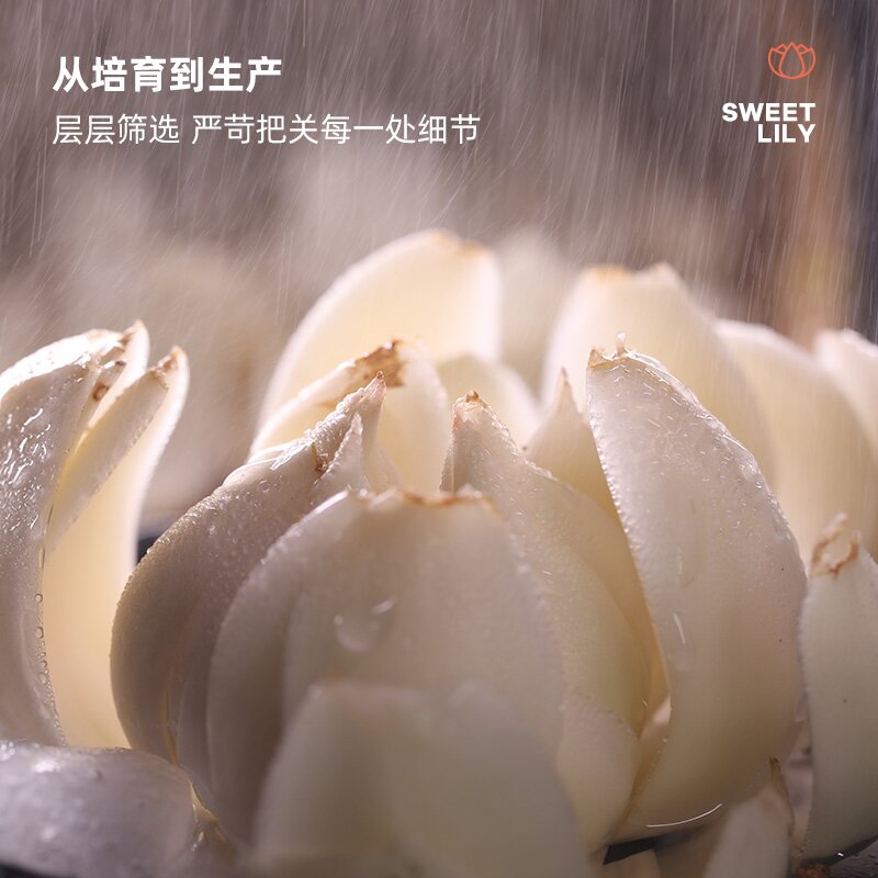 甘肃特产婵乡源兰州百合益生菌发酵鲜百合益π乳植物饮料1000ml*6高清大图