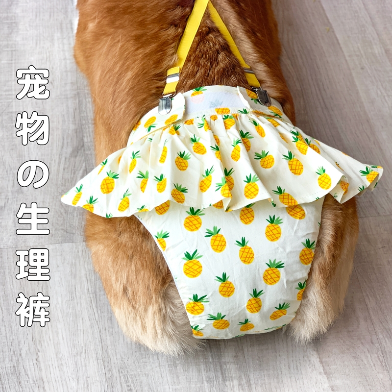 狗狗月经裤生理裤母狗柯基法斗米妮大姨妈女卫生巾宠物经期女狗姨妈裤