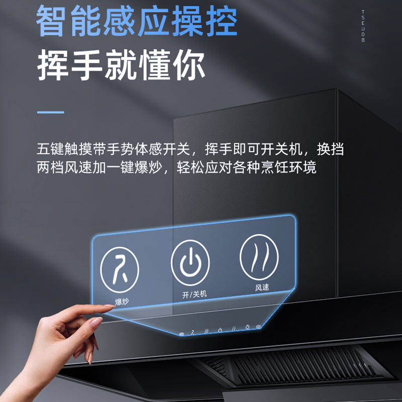红日(RedSun)烟灶套装家用油烟机燃气灶厨电组合大吸力抽烟机红外线灶节能省气TSEU08+EM318B 液化气
