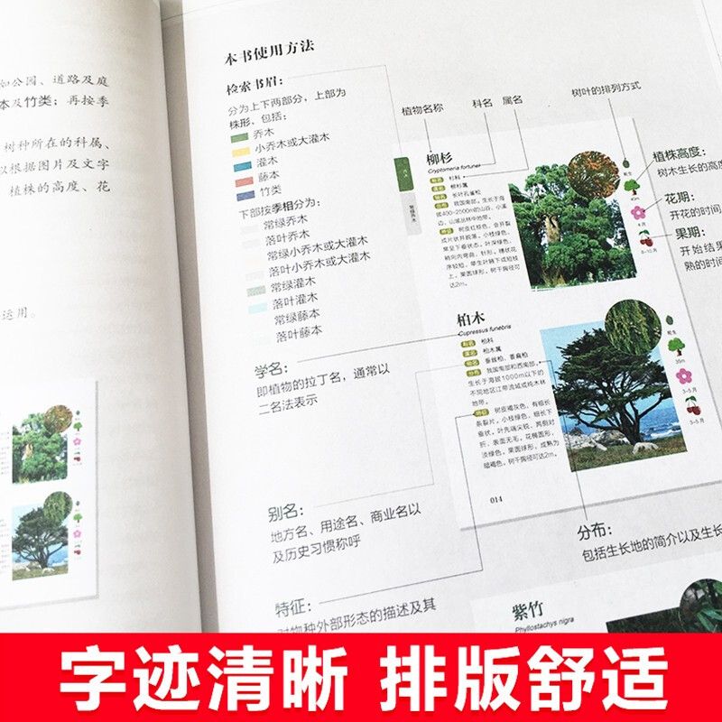 [正版]新手入门轻松辨识常见树木图鉴 大自然植物乔木灌木盆栽盆景园林绿化树木鉴赏识别书籍学生自然百科普全书中国花草树木图高清大图