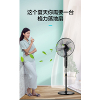 格力(GREE)[国家补贴]电风扇家用节能落地扇学生立式大风量客厅宿舍机械五叶扇 FD-4012-WG 黑