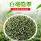 华源 碧螺春2021年新茶明前绿茶春茶正宗散装茶叶浓香型400g [首买推荐]买1罐送1罐200g