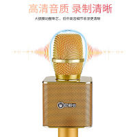 屁颠虫(Hifier) X16 无线蓝牙麦克风智能AI全民K歌音响话筒一体手机电脑通用 升级AI版 金色 3.5耳机口