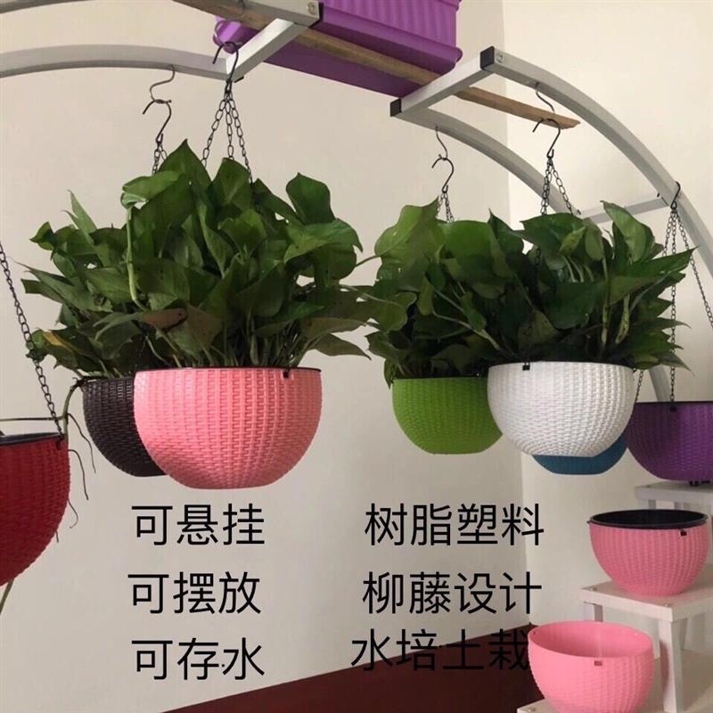 吊篮绿萝花盆悬挂懒人塑料自吸水花盆阳台室内绿萝加厚树脂花盆11|棕色 [升级加厚内篮款]-口径21cm中号
