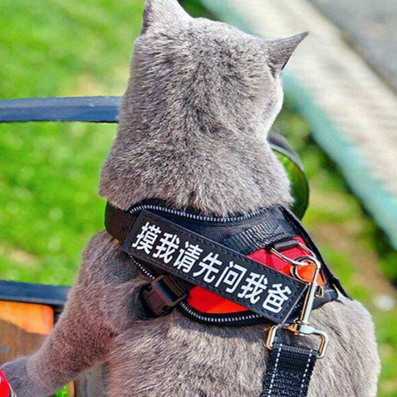 黑色背心+1.5米黑色牵引绳 S-小型(3斤以下猫狗) 猫咪牵引绳防挣脱专用溜猫绳遛猫绳背心式背带项圈栓小猫绳子猫链