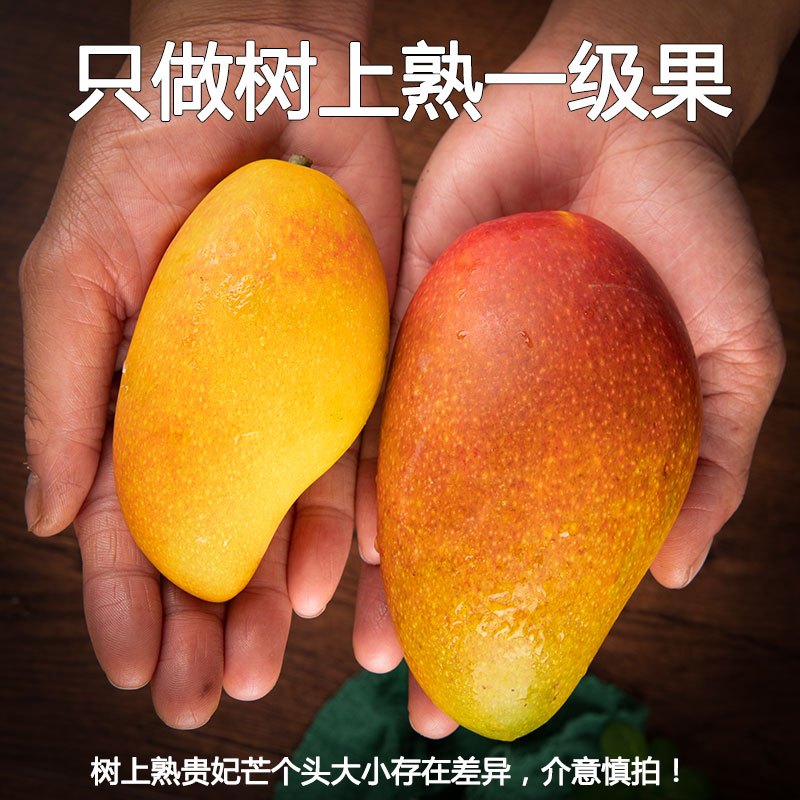 广西贵妃芒5斤装 单果150g起应季热带水果脆甜多汁星派果,XING PAI GUO
