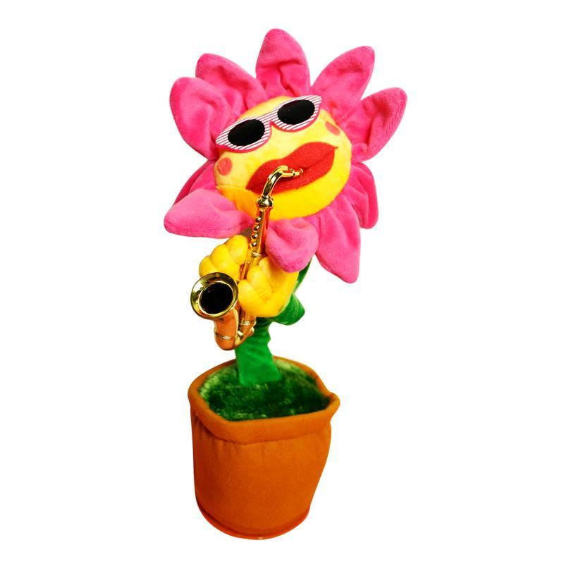 向日葵 🌻三番灣區向日葵花海🌻 | 社区旅行精选