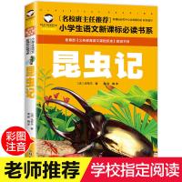 昆虫记法布尔正版书小学生三四五年级课外书必读书原著完整版 名校班主任 昆虫记 注音版