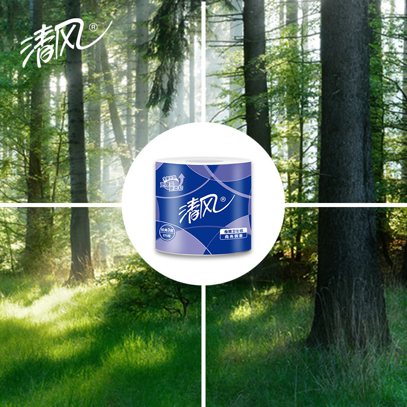 清风 B22AA5 卷筒卫生纸3层275段 110*100mm10卷*10提/箱(提)高清大图