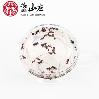 【三瓶】靠山庄黑蚂蚁长白山野生拟黑多刺蚁 蚂蚁粉干养泡酒料
