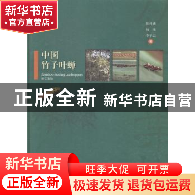 正版 中国竹子叶蝉 陈祥盛,杨琳,李子忠著 中国林业出版社 9787高清大图