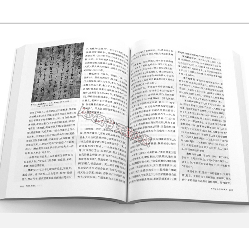 [正版] 中国美术简史中国青年出版社考研新修订本中央美术学院美术史系中国美术史教研室编2010年版高清大图