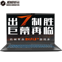 机械革命（MECHREVO）蛟龙P AMD 17.3英寸游戏本笔记本电脑定制版本(R7-4800H 32G 2TB固态 RTX2060 6G 72高色域 144HZ)