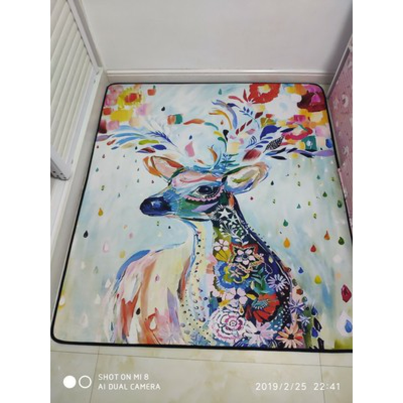 家柏饰(CORATED)ins网红卧室地毯少女心公主粉装饰房间满铺地垫客厅北欧