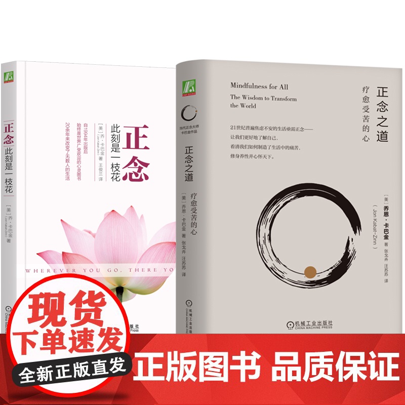 套装 正念 此刻是一枝花+正念之道 套装全2册 乔卡巴金 心理学 阐明正念冥想精髓人生哲学通俗读物 正知正念正能量 机械高清大图