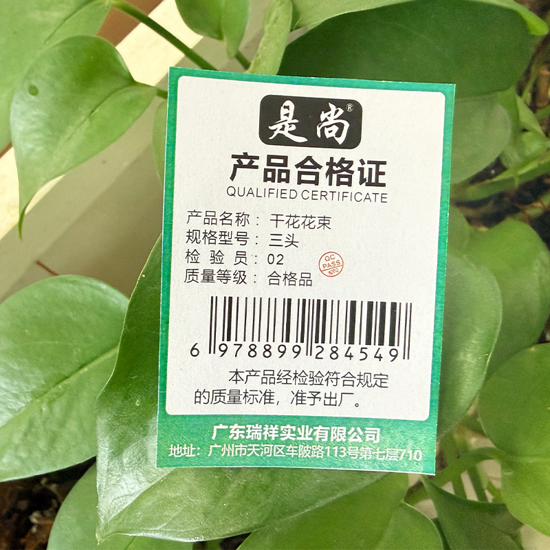 是尚 干花花束 三头/个高清大图