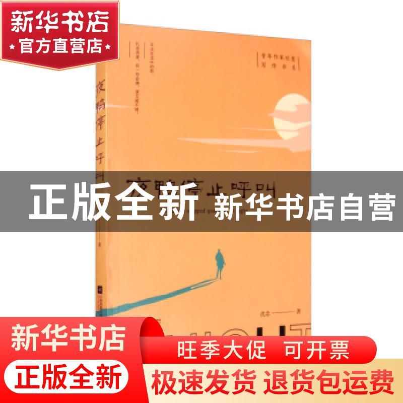 正版 夜鸭停止呼叫/青年作家创意写作书系 沈念 江苏凤凰文艺出版图片