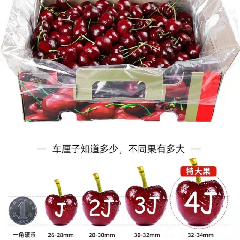 [五个农民]智利进口santina桑提娜JJJ级车厘子500g红宝石樱桃时令新鲜水果顺丰空运核酸检测安全放心