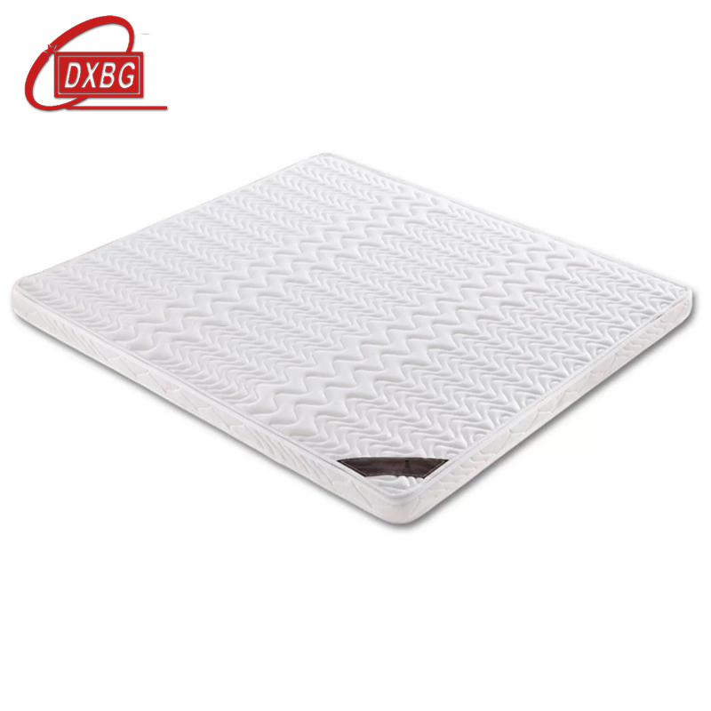 DXBG椰棕床垫家用棕垫5cm防螨抗菌(0胶水天然椰棕+软硬两用+全拆洗)1000mm*2000mm