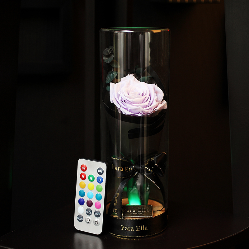 Para Ella 010系列彩灯许愿瓶浅紫玫瑰花永生花礼盒鲜花速递女神节创意礼物情人节礼物生日结婚纪念日礼物送女生女友