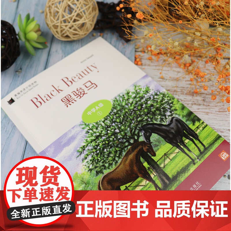 黑猫英语分级读物 黑骏马 中学A级1 电子音频 中学生英语分级阅读 初中英语阅读故事书 上海外语教育出版社9787544高清大图