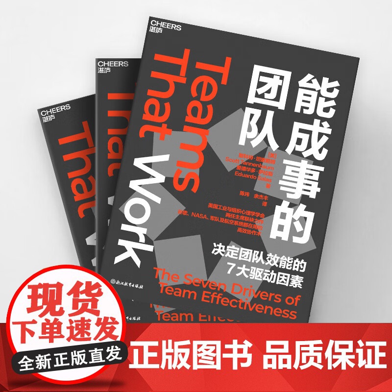 能成事的团队 爱德华多·萨拉斯等 著 励志与成功高清大图