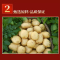 宁百晟手工粉条 (韭叶)500g/袋